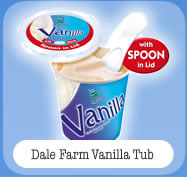 Dale Farm Vanilla Tub